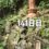 興亜観音　目指せ200日参り　141日目
