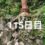 興亜観音　目指せ200日参り　115日目
