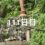 興亜観音　目指せ200日参り　111日目