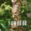 興亜観音　目指せ200日参り　108日目