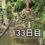 興亜観音　目指せ200日参り　133日目　 掃除はランチェスター方式 入り口に特化した掃除は誰にも負けない😁