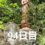 興亜観音　目指せ100日参り　94日目