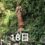 今日の興亜観音　目指せ100日参り 残り82日