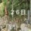 今日の興亜観音　目指せ100日参り　残り７4日