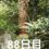 興亜観音　目指せ100日参り　88日目