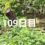 興亜観音　目指せ200日参り　109日目