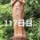 興亜観音　目指せ200日参り　117日目