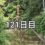 興亜観音　目指せ200日参り　121日目