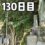 興亜観音　目指せ200日参り　130日目　