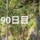 興亜観音　目指せ100日参り　90日目